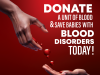 Donate a Unit of Blood