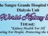 World Kidney Day